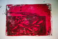 Printmaking Summer 2024-7942