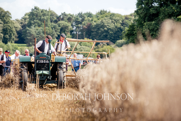 Yesterday's Farming 2017, Dillington Estate, Somerset