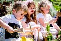 Redstart Primary
