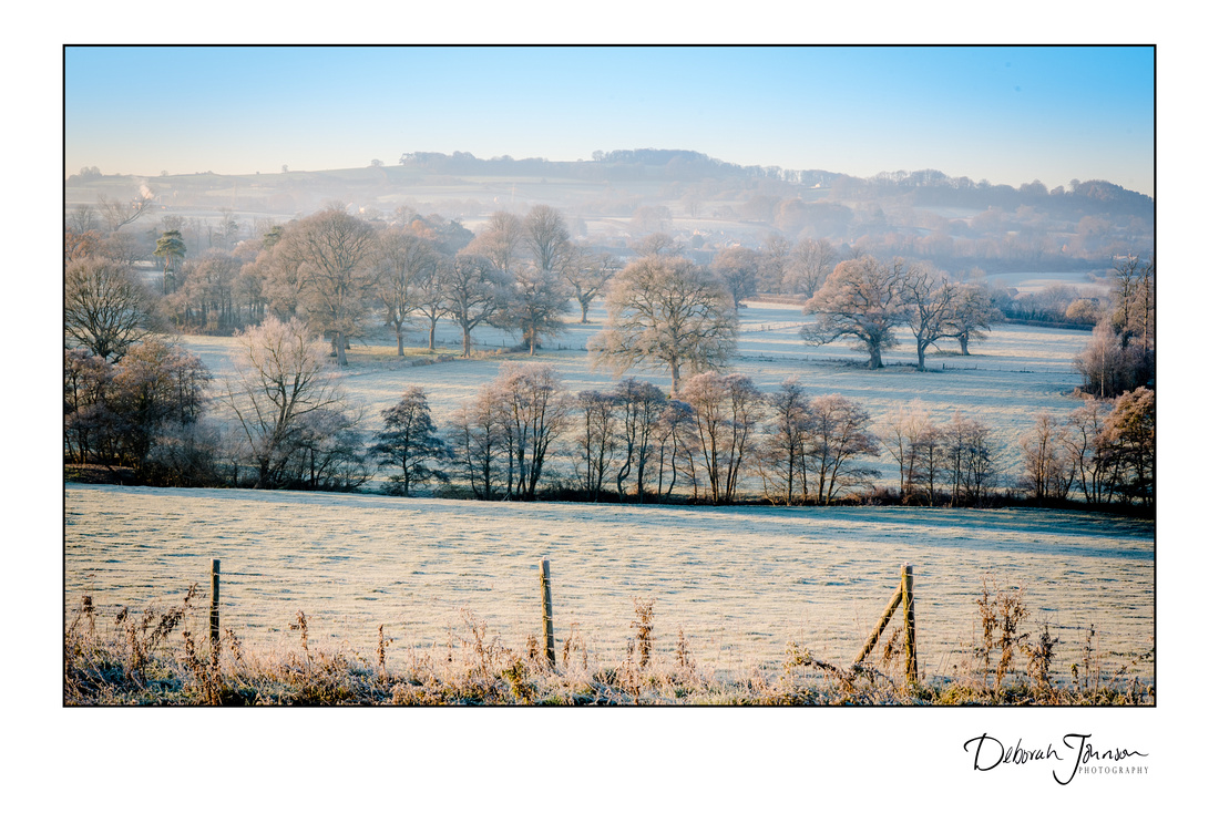 Winter's morning in Somerset 