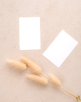 Faye Business Cards-2170