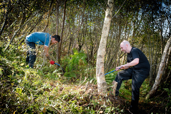 Branston corporate volunteering day with Somerset Wildlife trust.