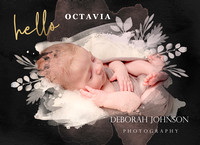 Octavia 11-Dec-18