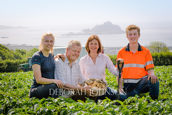 Cornish potato havest on the family farm with Philip and Denise Pryor and children Amy and Warwick