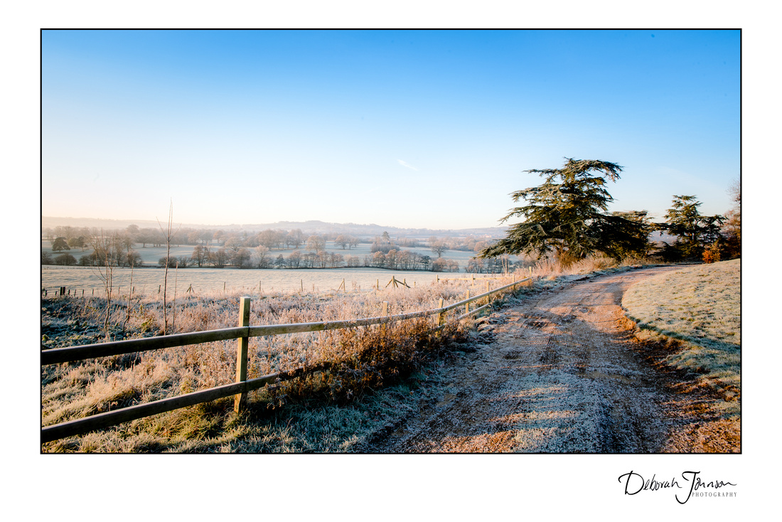 Winter's morning in Somerset