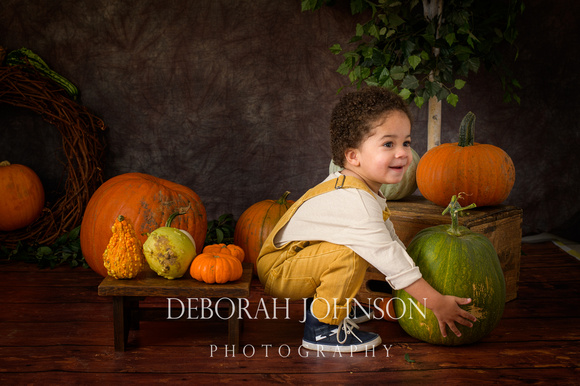 Nathaniel visits the Pumpkin Patch at The Studio Upstairs for an autumn half term mini photo shoot