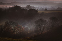 Somerset Landscapes