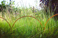 Hambridge Seeds summer meadow