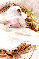 Harry Greenfield newborn photo shoot, Merriott